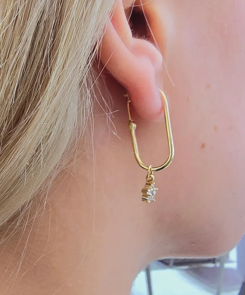 Swinging Glitter Earring - Görsel 5